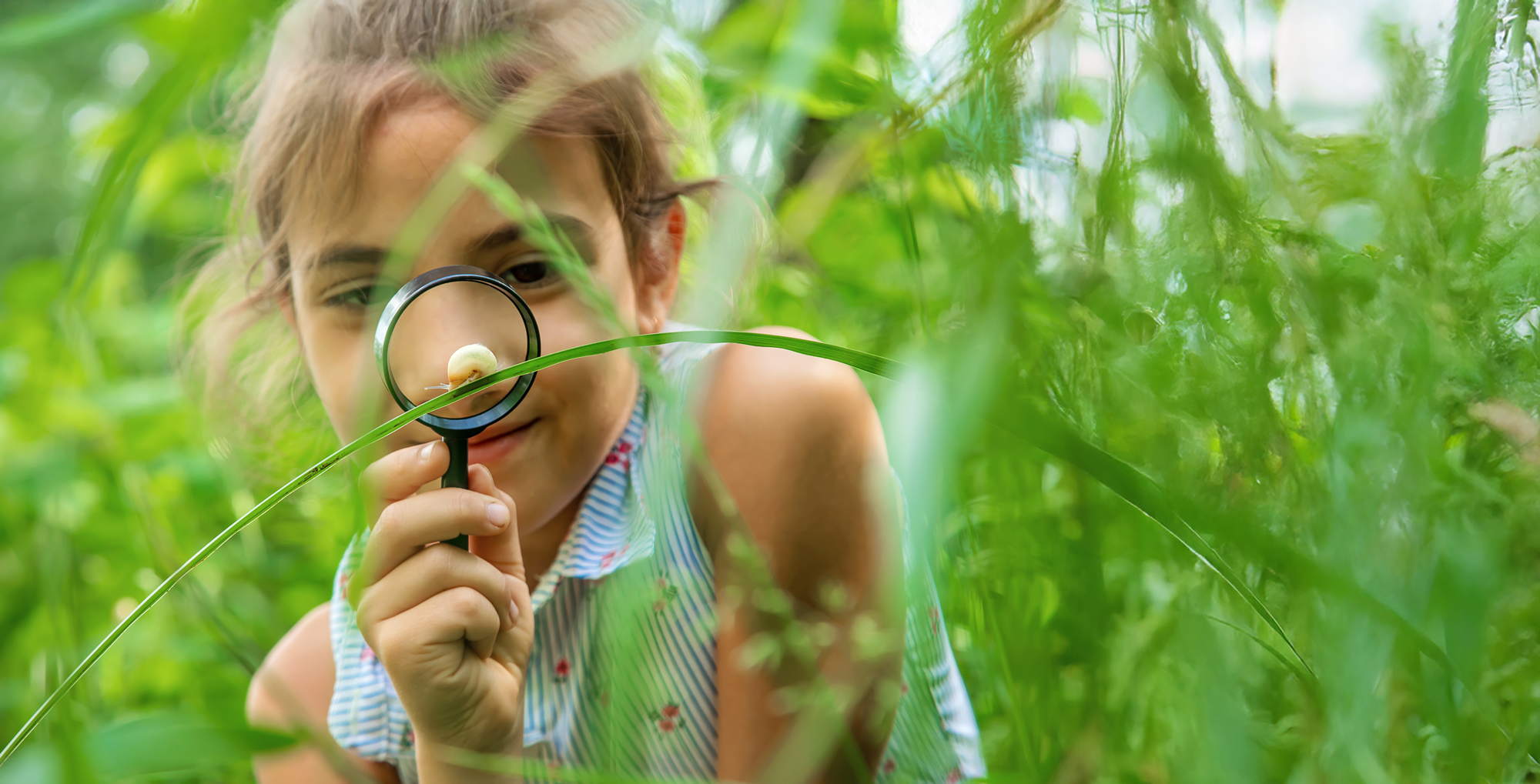 A child discovering a snail with a magnifying glass